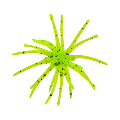 Invinci Core MOFO 19mm