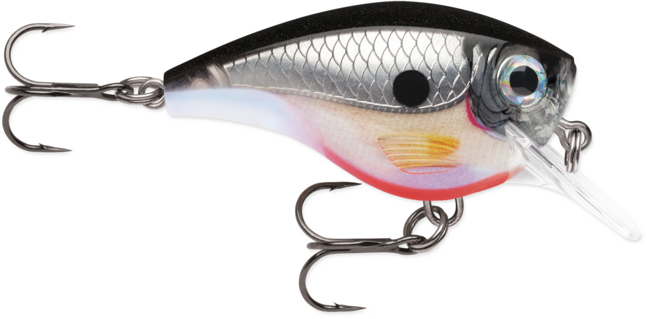 Rapala BXB06 Crankbaits