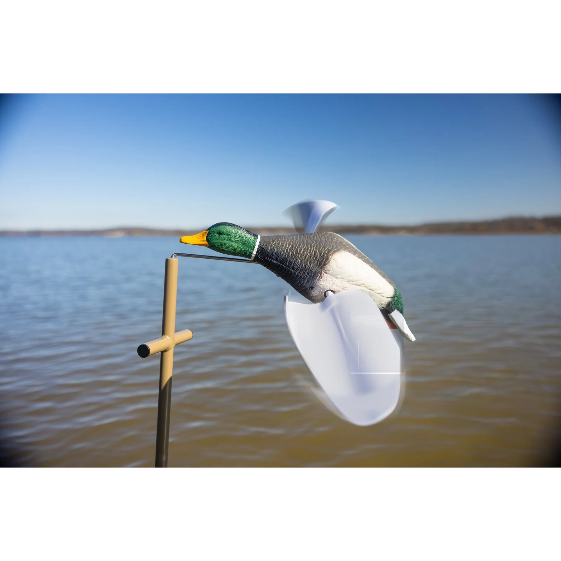 Higdon Flasher Flyer Breeze, Mallard Drake