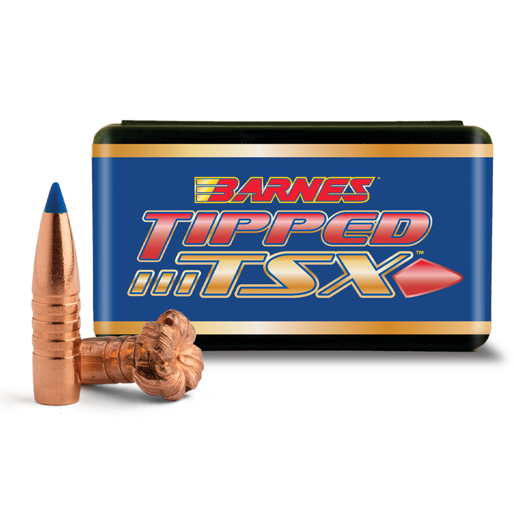 Barnes Ammo