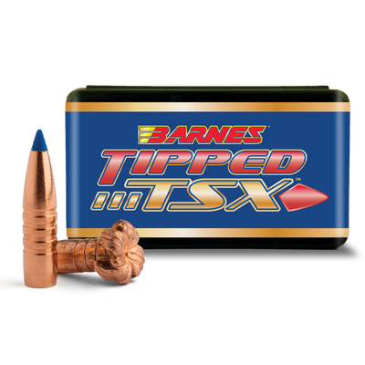 Barnes Ammo