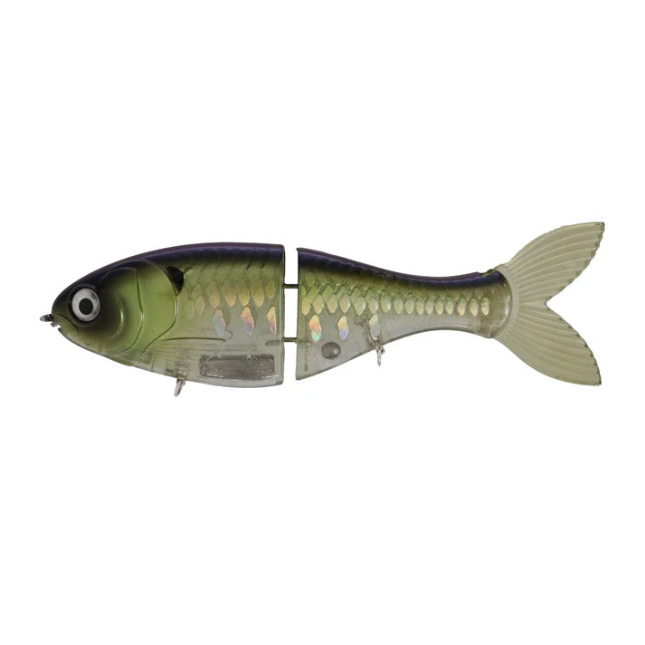 Bucca 6" Trick Shad