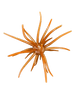 Hag's Prickly Pear Jr 9.9mm Creature Bait 2pk