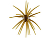 Queen Tackle Deadcenter Beast 25mm Porcupine Ball Baits