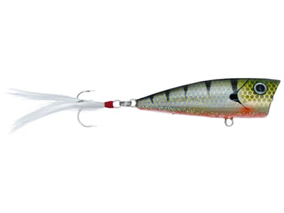 Don Iovino Splash It