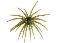 Hag's Prickly Pear 19mm Creature Bait