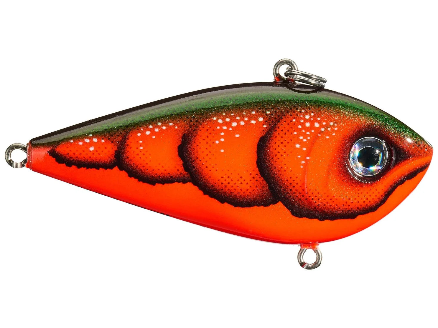 Rapala Snare 50 Lipless Crankbait