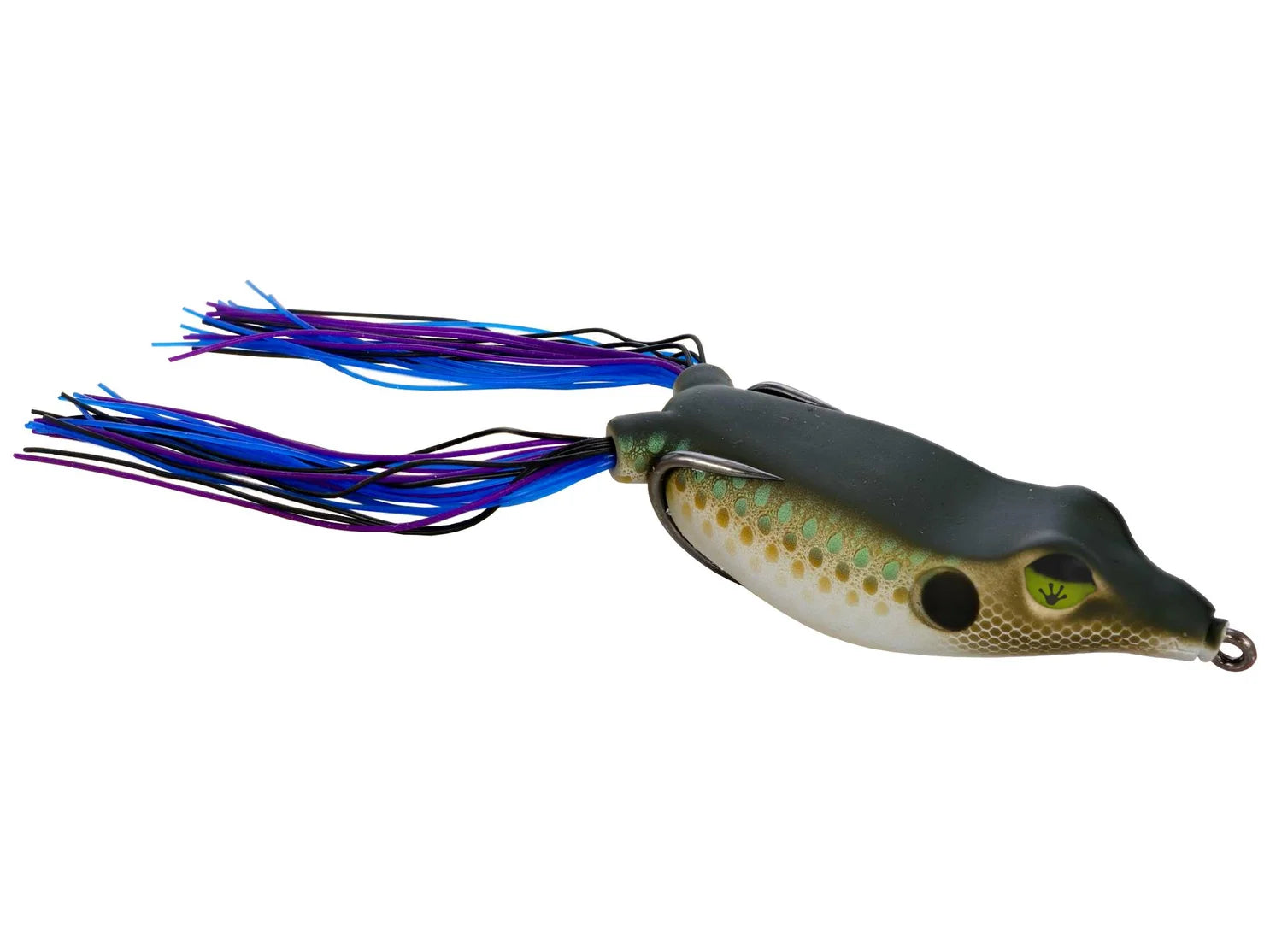 Frog Factory Sonic Boom Frog