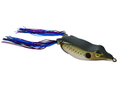 Frog Factory Sonic Boom Frog