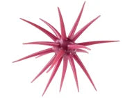 Berkley Powerbait Maxscent Moeba 4.5"
