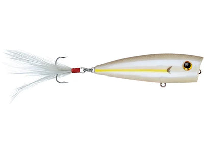 Don Iovino Splash It