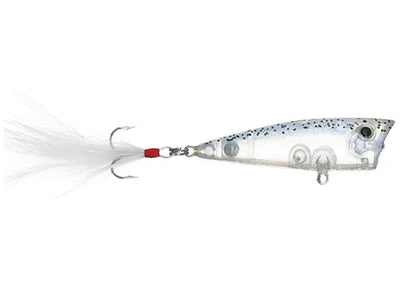 Don Iovino Splash It