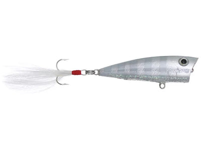 Don Iovino Splash It