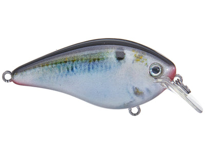 Strike King KVD 1.5 Squarebill Crankbaits