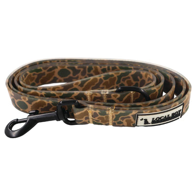 Local Boy Dog Leash