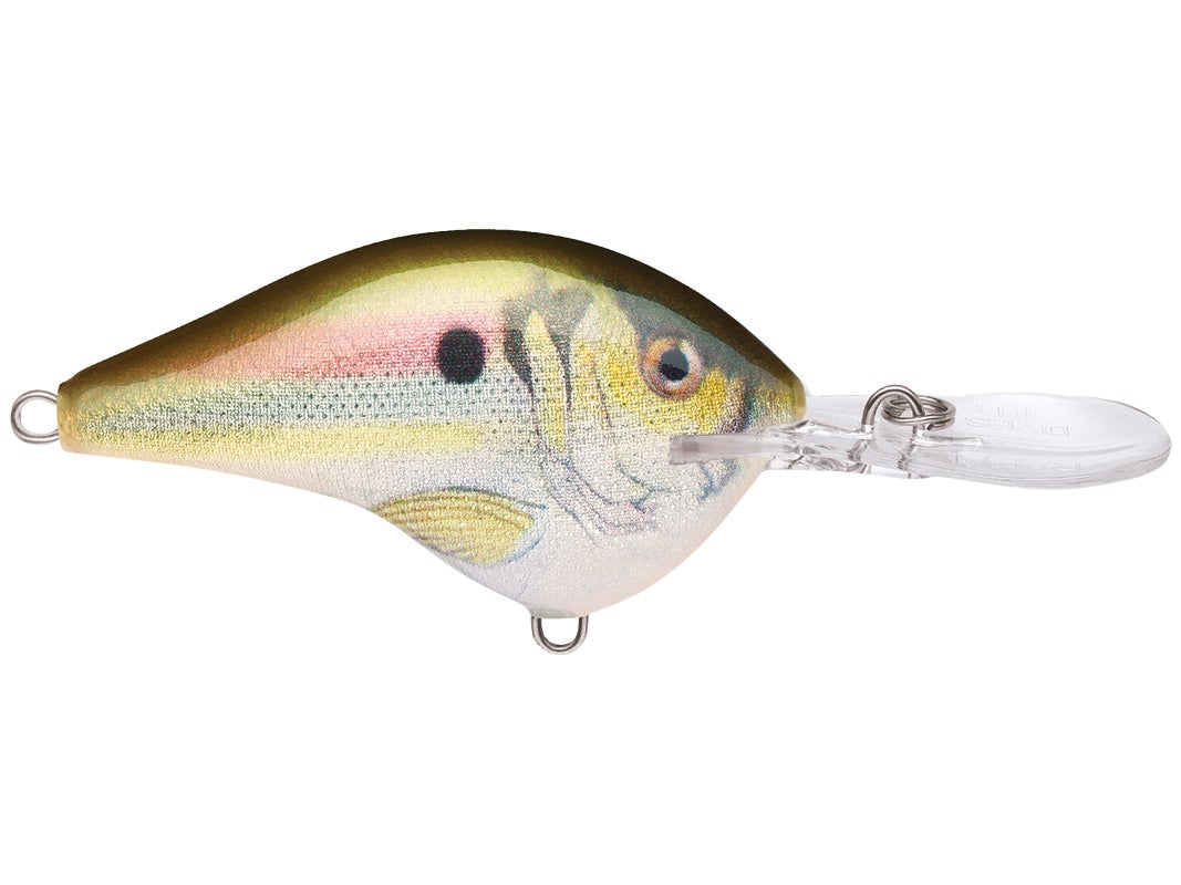 Rapala DT08 Series Crankbaits