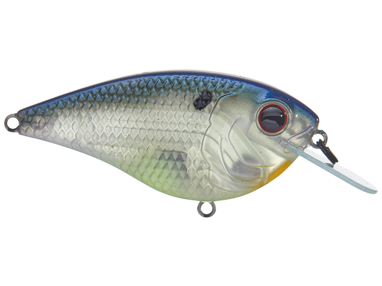 6th Sense Flat Finesse F4