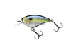 Jackall Bling 55 Flat-Sided Crankbaits