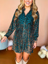 Teal Leopard Print Button Up Dress