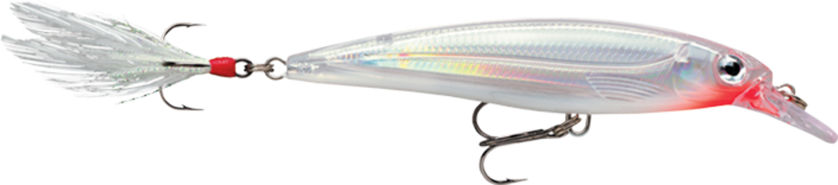 Rapala XR08 X-Rap Baits