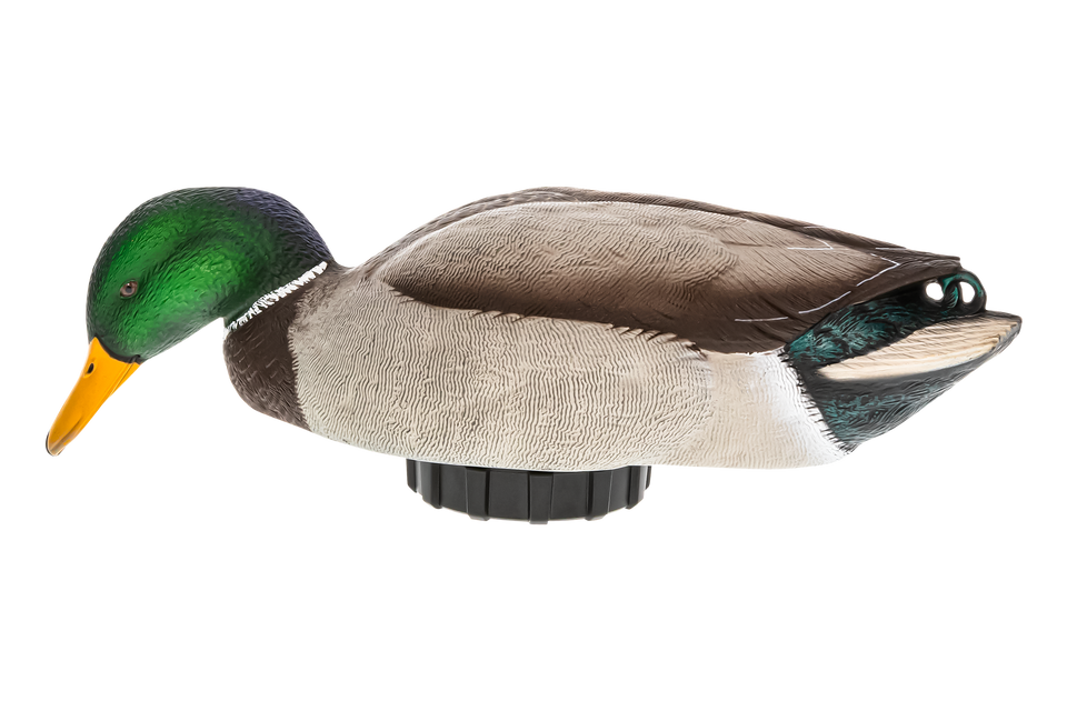 Avian X Power Shaker Motion Decoys - Mallard Drake Surface Feeder