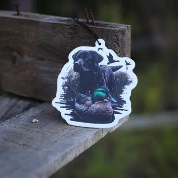 Scent South Air Fresheners