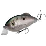 Strike King Hybrid Hunter Jr Shallow