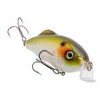 Strike King Hybrid Hunter Jr Shallow