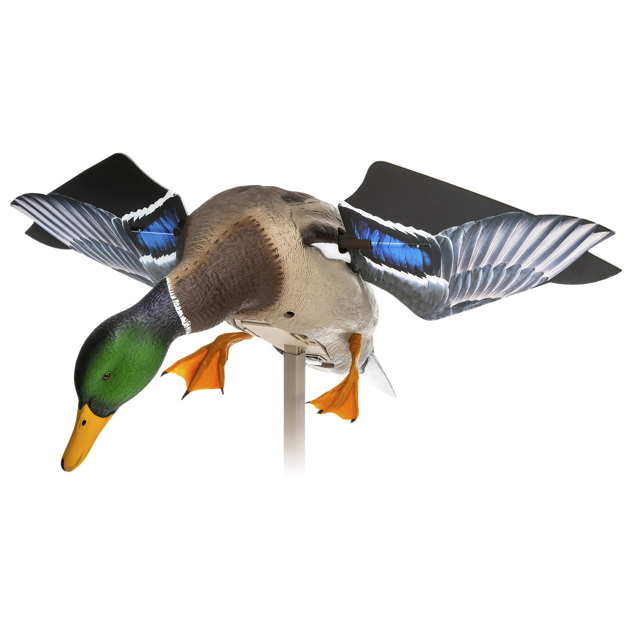 Avian X Spinning Wing Duck