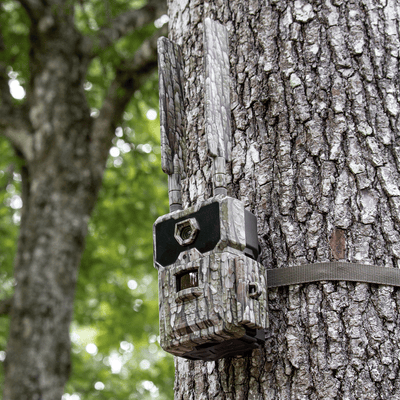 WiseEye Data Cam 2 Trail Cameras