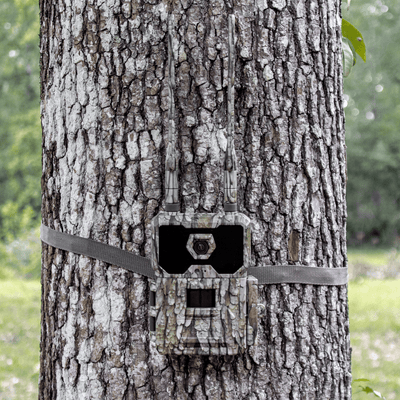 WiseEye Data Cam 2 Trail Cameras