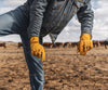 Bear Knuckles Bushwacker Heavy Duty Gloves