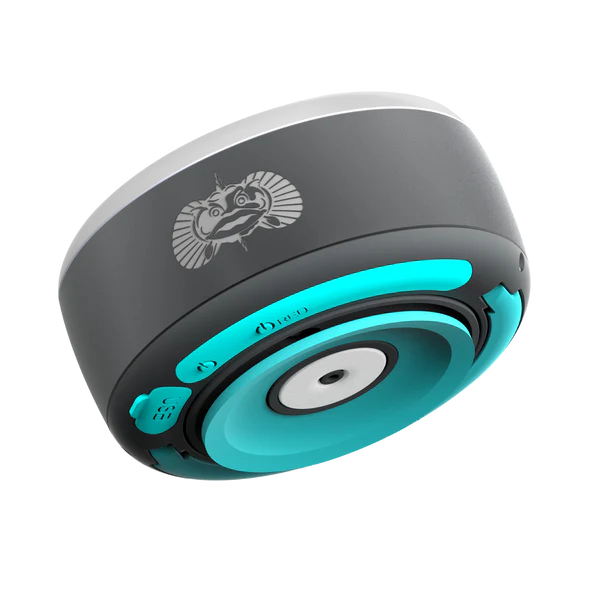 Toadfish Stowaway LED Lantern