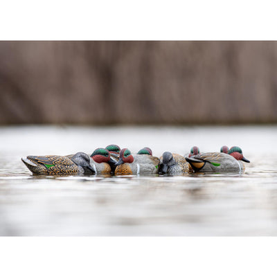 Rig 'Em Right Mainline Series Decoys - Case Pack