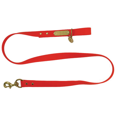 Local Boy Biothane Dog Leashes