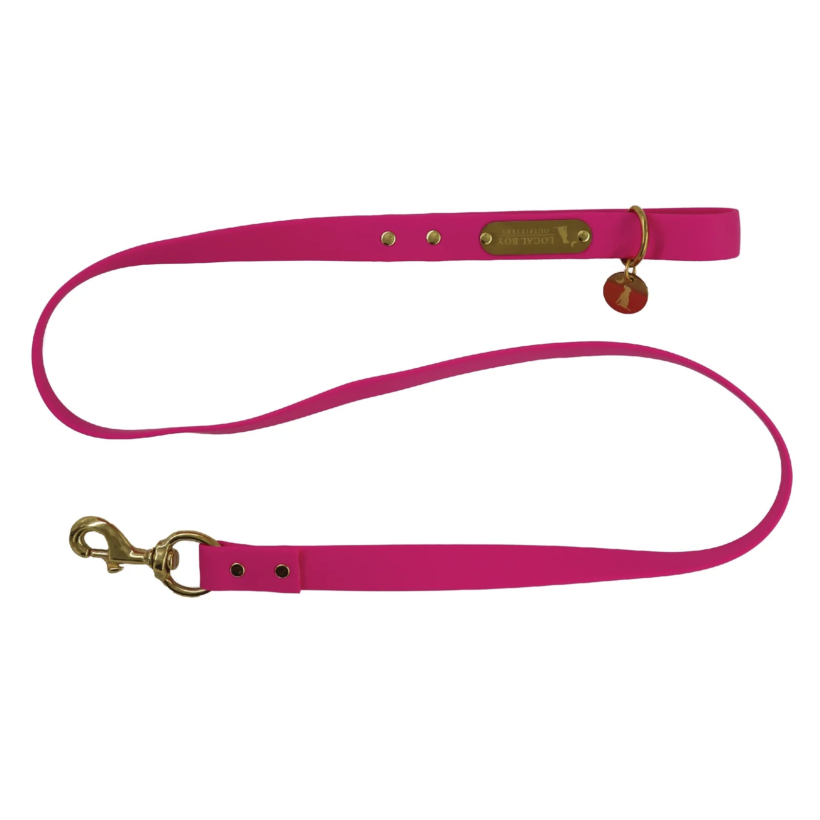Local Boy Biothane Dog Leashes
