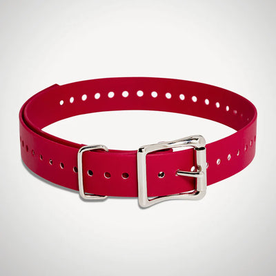 Sportdog Brands 1.0 Collar Straps