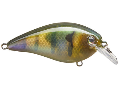 Strike King KVD Elite 1.5 Squarebill Crankbaits