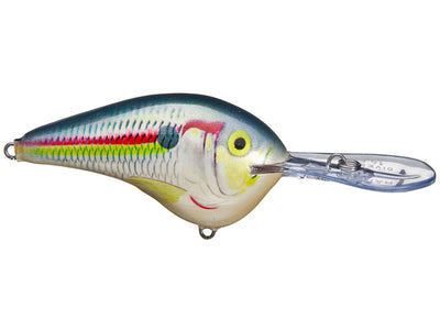 Rapala DT14 Series Crankbaits