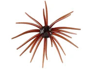 Hag's Prickly Pear 19mm Creature Bait