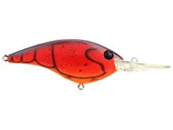 Berkley Frittside Clickin 9