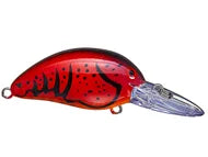 Bomber Next Gen 5A Crankbait