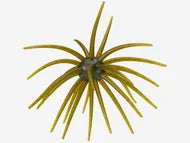 Hag's Prickly Pear Big Tex Baits - 25mm