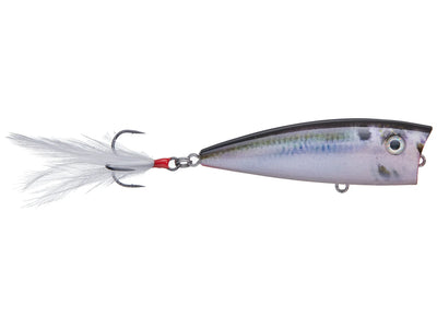 Strike King KVD Sexy Splash Topwater Baits
