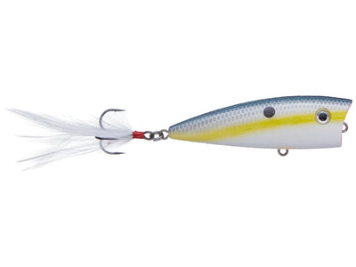 Strike King KVD Sexy Splash Topwater Baits