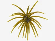 Hag's Prickly Pear Big Tex Baits - 25mm