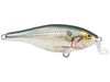 Rapala Shallow Shad Raps