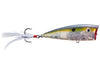 Strike King KVD Sexy Splash Topwater Baits
