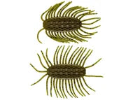 NetBait Baitfuel Hextek Virus Creature Bait