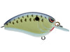 SPRO Little John Micro 45 Crankbaits